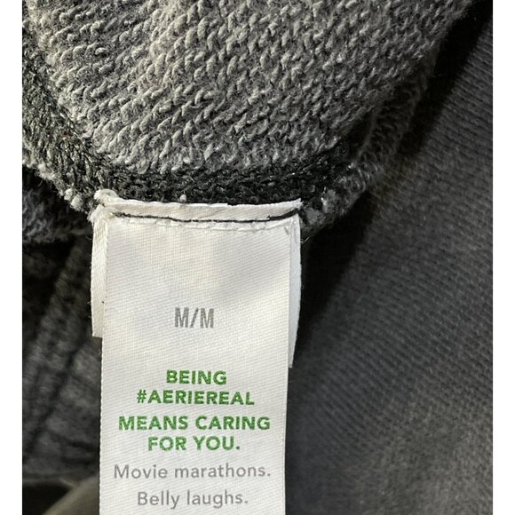 Aerie X Wicked Big Chill Jogger M Medium Grey Sweatpants Pull-On - Picture 6 of 7